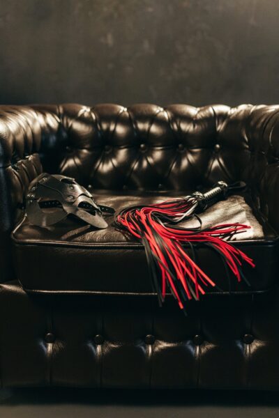 Anelli di castità Frusta in pelle e maschera da gatto su poltrona: accessori bondage Lovibes, stile elegante e sensuale