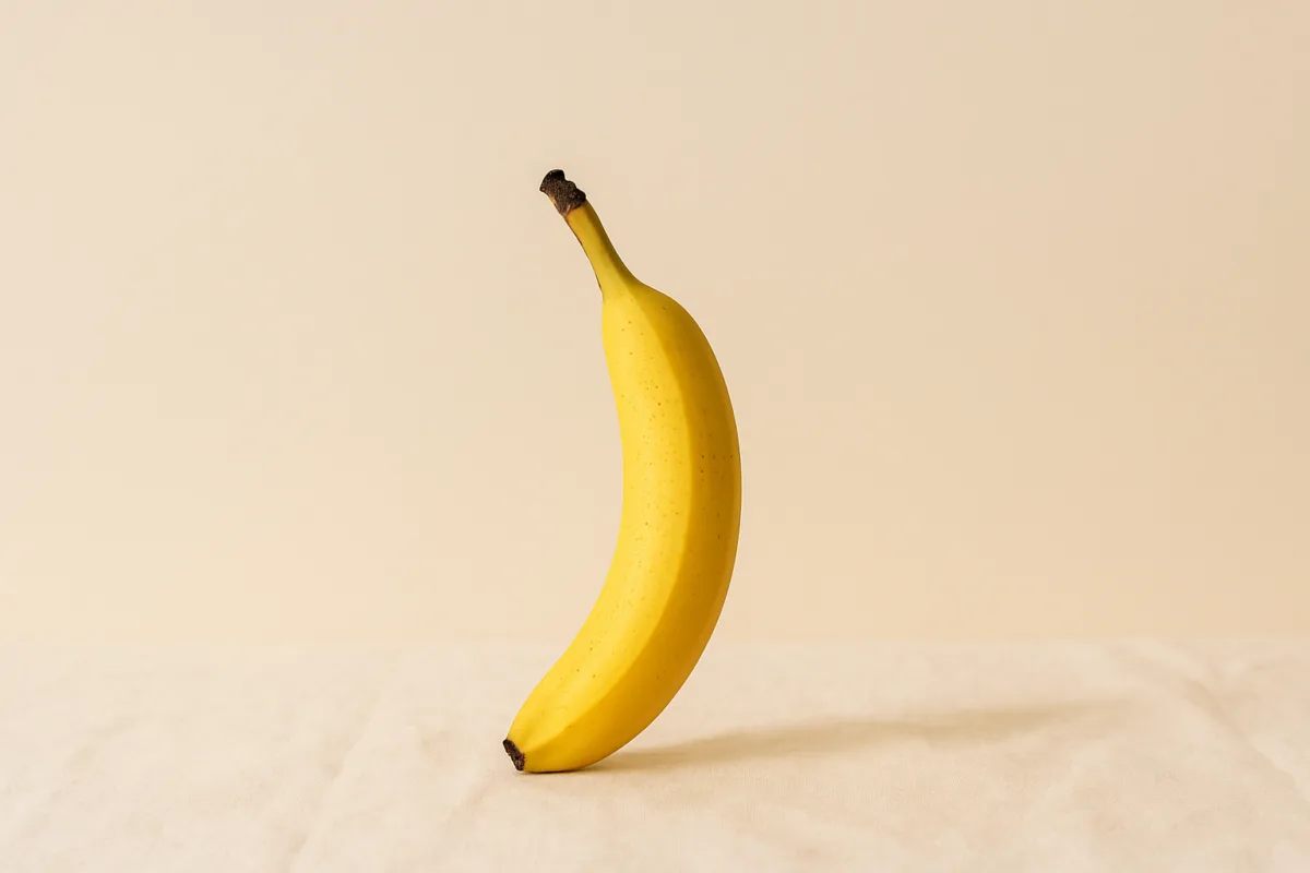Stimolatore Della Prostata: guida completa