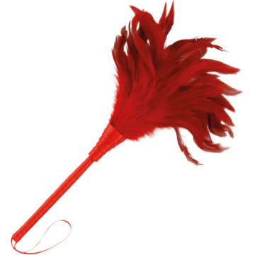 PIUMA ROSSO TENERE 24CM - immagine 3