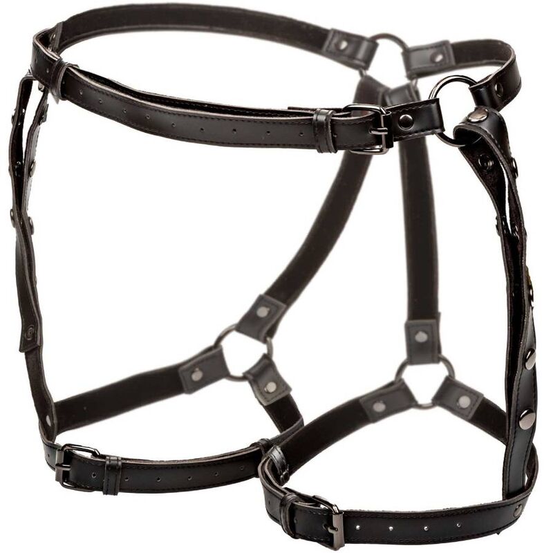 CALEXOTICS - EUPHORIA PETTORINA DA EQUITAZIONE PLUS TAGLIA - immagine 4