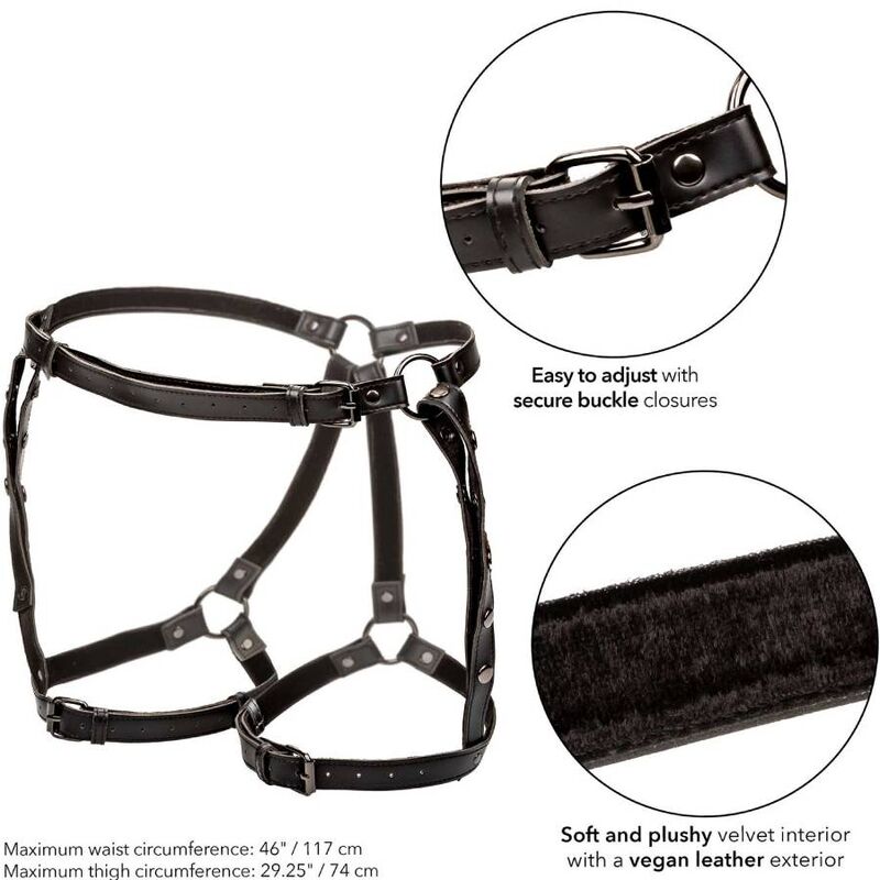 CALEXOTICS - EUPHORIA PETTORINA DA EQUITAZIONE PLUS TAGLIA - immagine 5