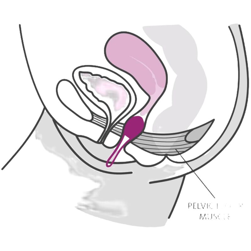 FUN FACTORY - SMARTBALL UNO PALLA PELVICA BIANCO / VIOLA PASTELLO - immagine 3